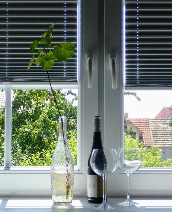 Oase Der Geborgenheit Apartment Venningen Ngoại thất bức ảnh